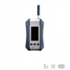 ESP210便攜泵吸式式可燃?xì)鈭缶瘷z測器