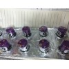美國(guó)英思科 ITX 可燃?xì)鈧鞲衅? onmouseover=