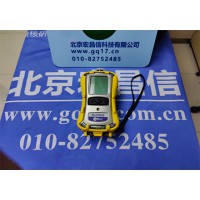 PGM-6208 便攜式 氧氣 (O2) 氣體檢測儀 (0-30% Vol)