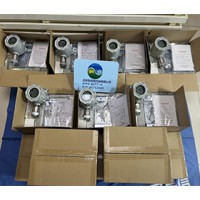 美國(guó)華瑞 RAEAlert FGM-3300二氧化硫(SO2)探測(cè)器