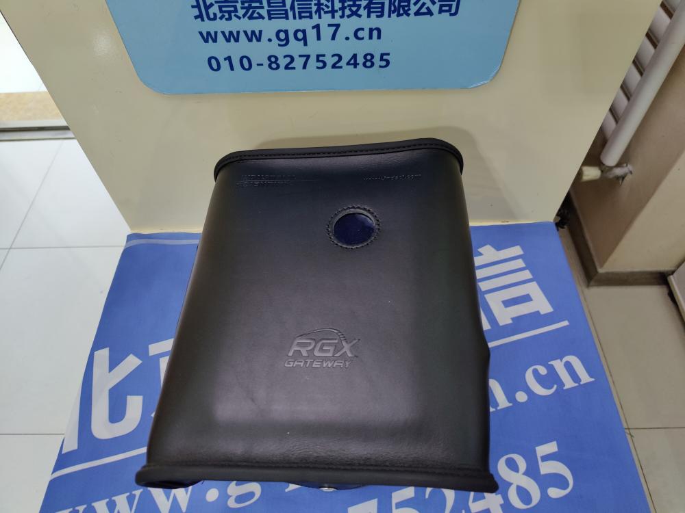 美國英思科 Radius BZ1泵吸式氣體檢測儀(LEL(甲烷),CO,H2S,O2)