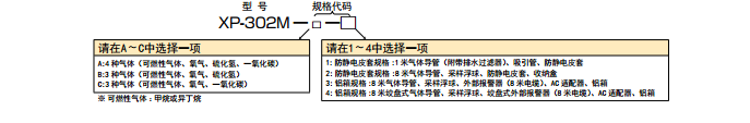 XP-302M 復(fù)合氣體檢測(cè)儀